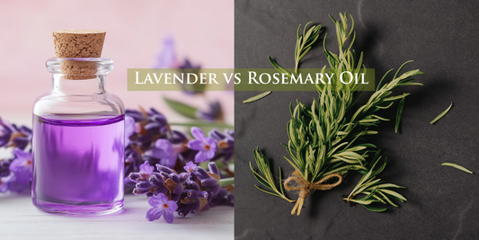 Lavender vs Rosemary Oil: Which Essential Oil is Right for You?
