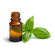 Basil Essential Oil