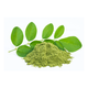 Basil Powder