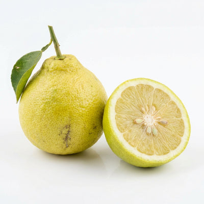 Bergamot