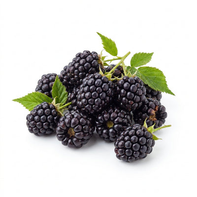 Blackberry