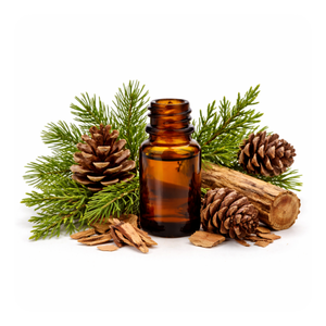 Cedar Wood