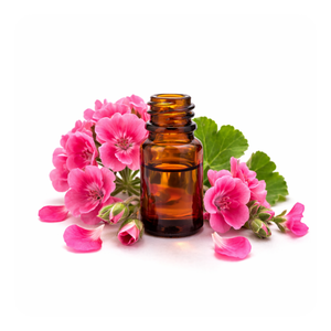 Geranium