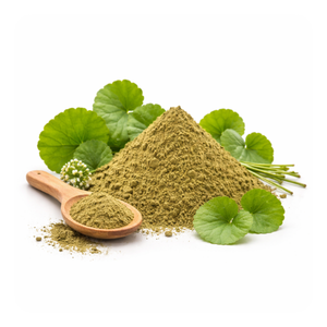 Indian Pennywort