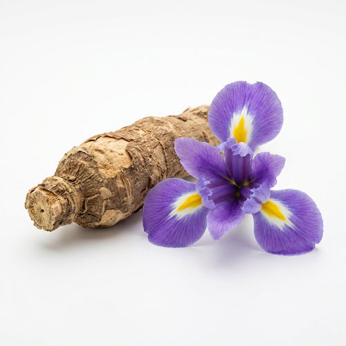 Iris(orris root)