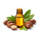 Jojoba Oil