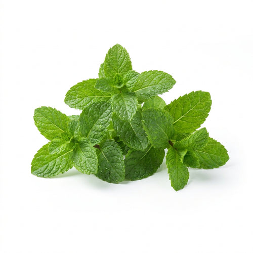 Mint