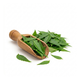 Neem Leaves