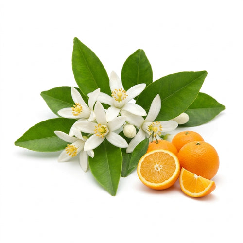Neroli