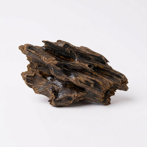 Oud