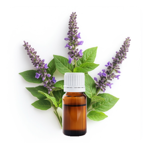 Patchouli