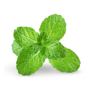 Peppermint