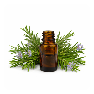 Rosemary