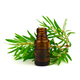Tea Tree Essential Oil