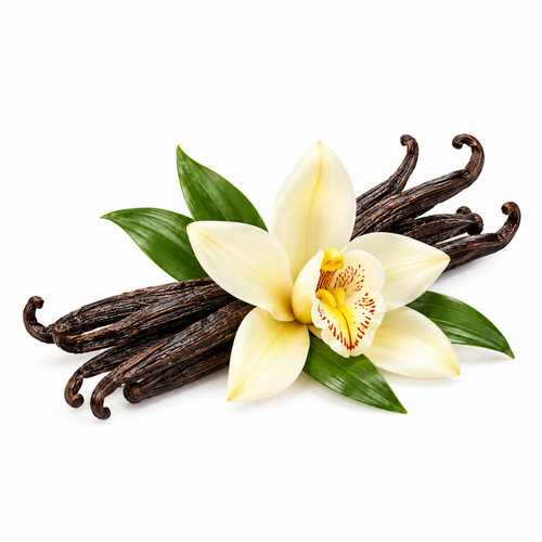 Vanilla